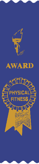 BLUE PHYSICAL FITNESS RIBBON